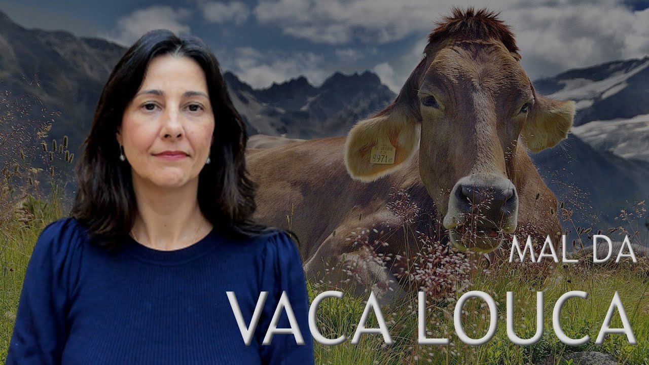 Mal da vaca louca: tudo o que você precisa saber!