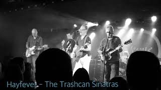 Hayfever - The Trashcan Sinatras