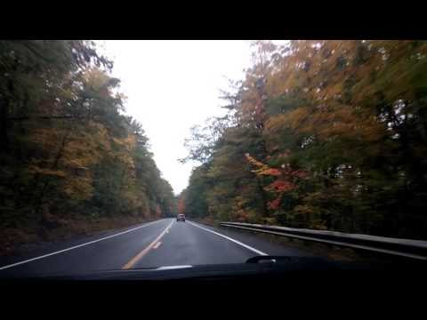 MA Route 202 Foliage