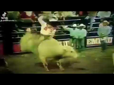 Adriano moraes Rodeio de São José do Rio Preto Ano de 1992