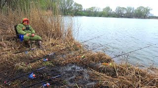 Ловля рыбы на убийцу карася