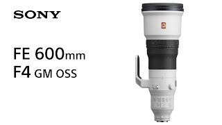 Video 0 of Product Sony FE 600mm F4 GM OSS Full-Frame Lens (2019)