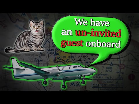 "A cat somehow walked into the plane" | Weird reason for a Return at Laredo