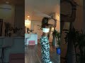 More Weapon Asmr Bo Staff
