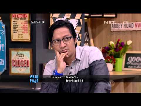 Pagi Pagi 24 November 2015 Part Ferry Salim Membahas Manfaat Tomat