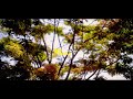 Serah musante sololist singer_ urugendo (Official Video)