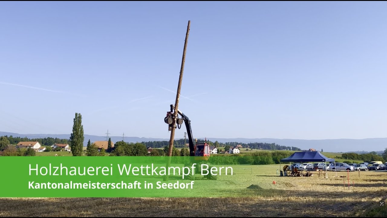 Spektakel mit der Motorsäge am Holzhauerei-Wettkampf