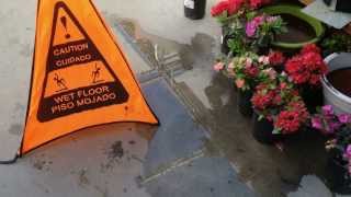 The Danger of Wet Floors