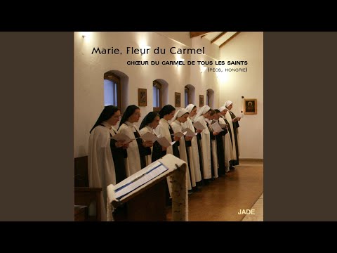 Tota pulchra es maria