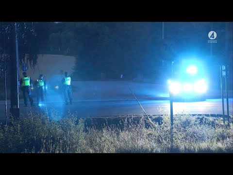 Uppgifter till Aftonbladet: 15-årig pojke hittad död i skogsparti | Nyhetsmorgon | TV4 & TV4 Play