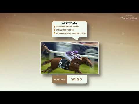 The 2014 QIPCO 2000 Guineas - A race of champions