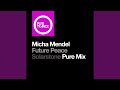 Future Peace Solarstone Pure Extended Mix