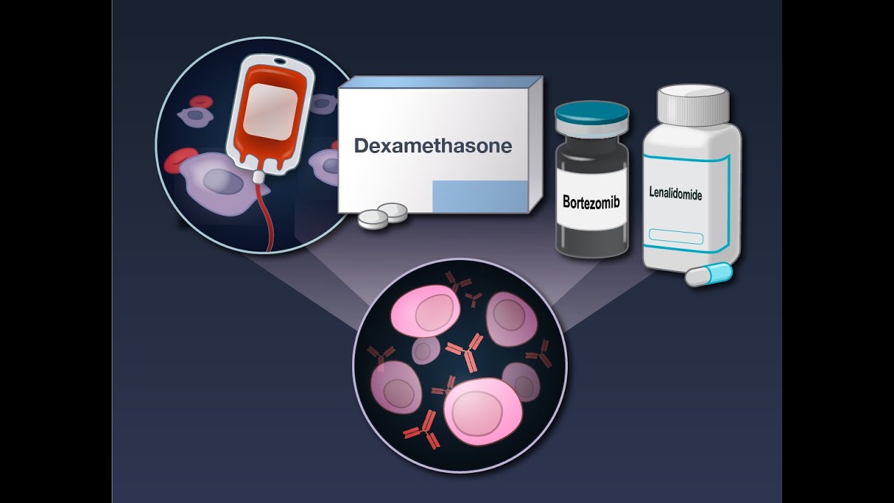 Triplet Therapy, Transplantation, and Maintenance in Myeloma | NEJM