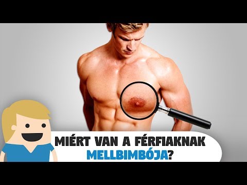 tag látni erekcióval és anélkül tutankhamun péniszével