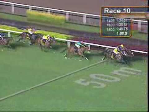 SINGAPORE AIRLINES INTERNATIONAL CUP 16/05/10 - LIZARD'S DESIRE