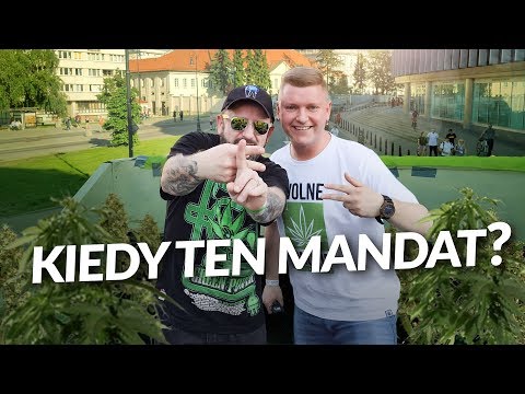 CO Z TYM MANDATEM ZA MARIHUANĘ? | Liroy