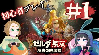 【2人協力】体験版！英傑たちに会いたい！#1【ゼルダ無双 厄災の黙示録】
