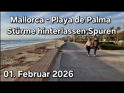 🌴Playa de Palma Compact - 🥳Day & Night at Ballermann |♥️Mallorca VLOG February 1, 2026