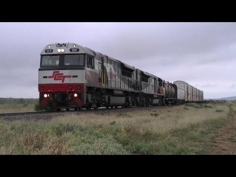 SCT Freight at Winninowie - Australian Trains, South Australia