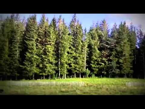 Hoteluri Busteni - Cazat.ro