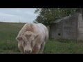 Our Big Adventure Part 1