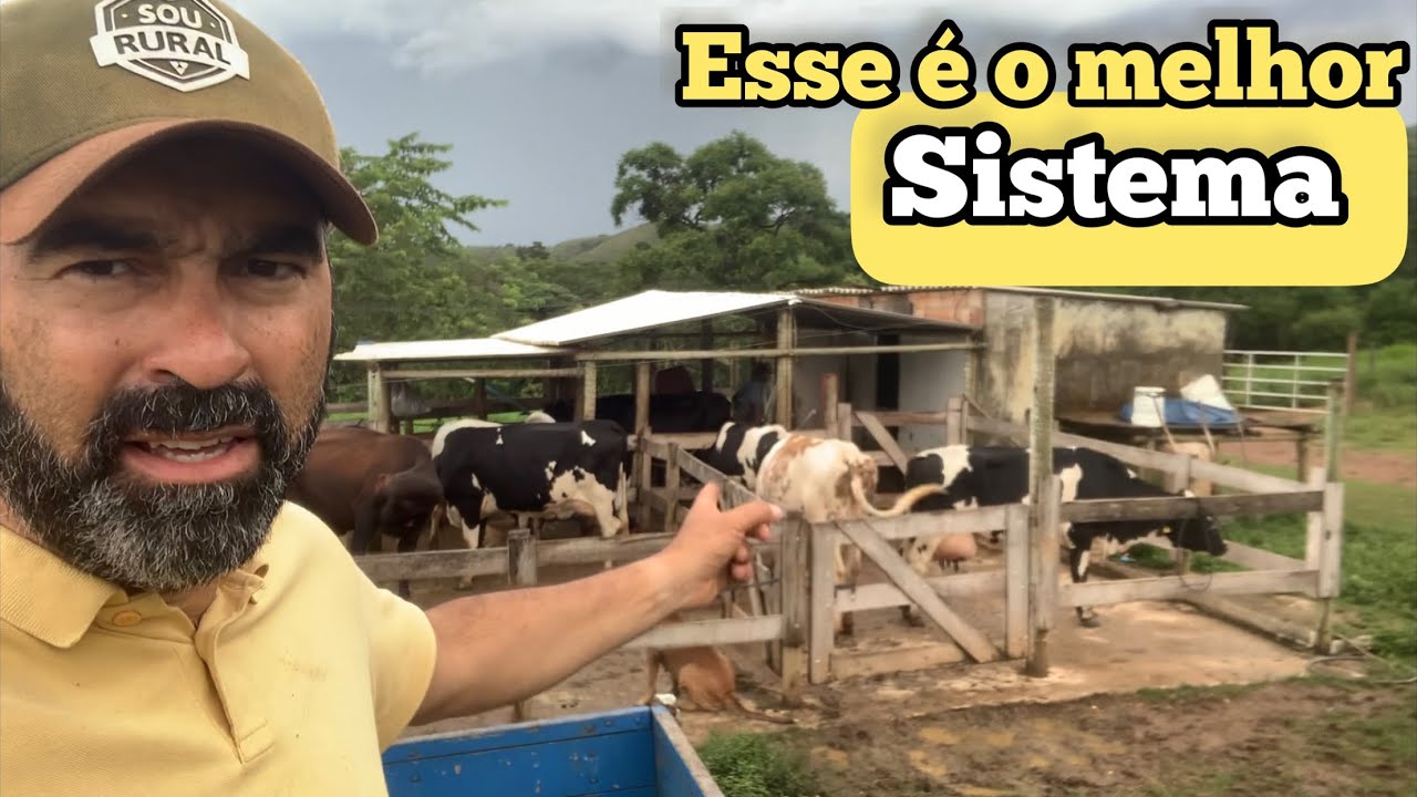 O MELHOR SISTEMA DE PRODUÇÃO DE LEITE