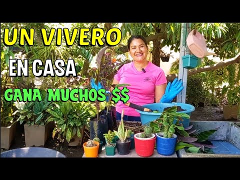 HOW TO MAKE A NURSERY AT HOME AND GENERATE INCOME! #plants #garden #flowers