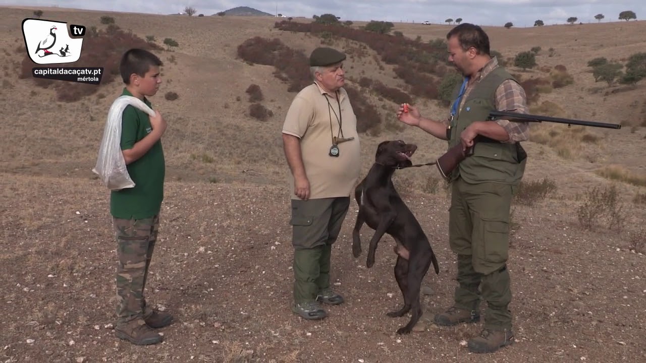 8ª Taça Ibérica de Stº Huberto de Métola (2017)