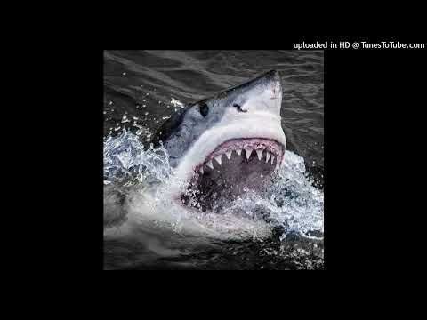 LYONZON X SPLURGE X ZOLA TYPE BEAT - " SMIFNWESSUN 2 " (HARD)