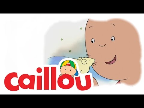 Caillou - Clowning Around  (S02E11) | Videos For Kids