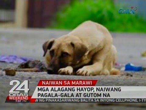 Kung paano mangayayat mabagal ngunit forever Na sa gabi upang kumain para sa pagbaba ng timbang