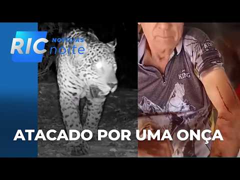 Onça-parda ataca agricultor em Toledo e deixa moradores de área rural com medo