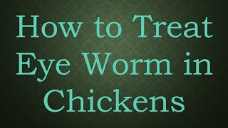 How to Treat Eye Worm in Chickens