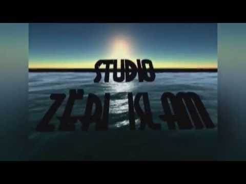 Pse e lëshon shikimin - Hoxhë Dhulkarnejn Ramadani