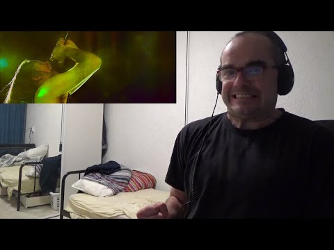 NEW!!! Cattle Decapitation - We Eat Our Young  Reaction