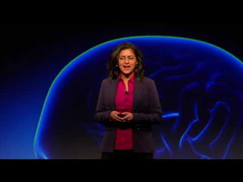 The Chocolate Ice Cream Story (Leena Patel)