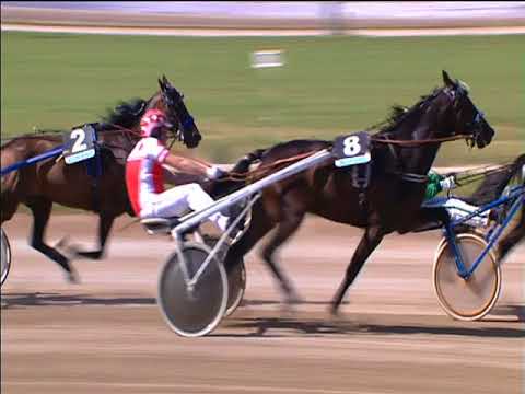 Trotto 30/04/2018 - 4ª corsa