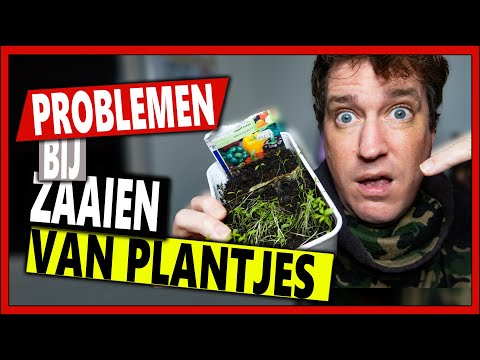 , title : 'PROBLEMEN BIJ HET ZAAIEN VAN PLANTJES | Moestuin Vlog 115 | zaaien moestuin plantjes'