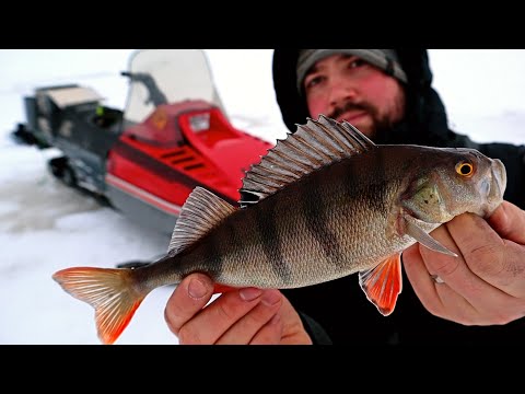 KELKALLA AHVENPILKILLE - KUIVASMERI - OULUN KALAPAIKAT - LYNX GL 3900 SYNCRO