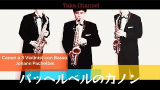 Download lagu カノン／パッヘルベル　Canon a 3 Violinis con Basso ／Johann Pachelbel mp3
