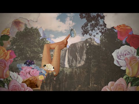 Officer Of Love - Caamp