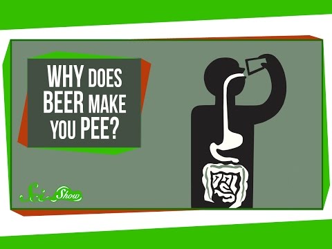 Why Does Beer Make You Pee?