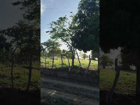 Sinta a paz desse lugar ,chamado Fazenda Cachoeira, Conceição do Almeida -Ba.