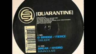 D-Bridge &amp; Fierce - Twilight