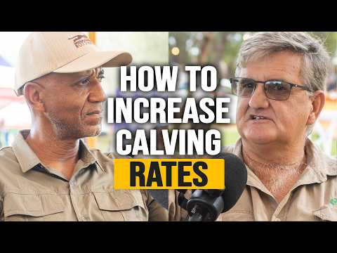 Livestock nutrition discussion with animal nutritionist Lubbe Jacobs