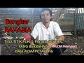 Tig Titik Pukul Paling Sentral Yg Berbahaya Dan Mematikan Bagi Ayam Petarung