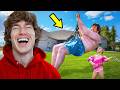 I Hired A Human Piñata