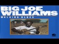 Big Joe Williams - Sugar Babe