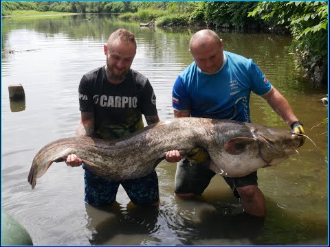Holidays with a fishing rod X We got it!!!! Catfish of a lifetime!!!! It's here!!!!! It's here!!!...