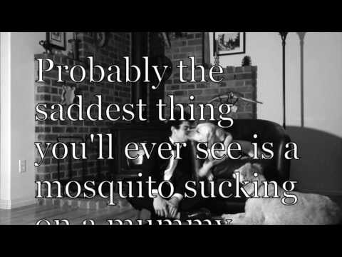 Deep Thoughts The Mosquito